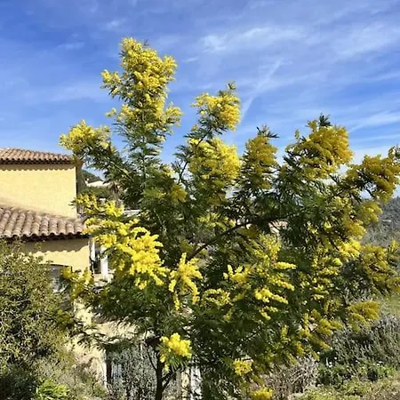 Villa Grasse Vue Exceptionnelle 8p Piscine Interieure *
